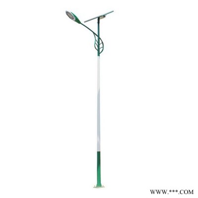 風光互補路燈 6米30瓦太陽能路燈 農村led太陽能路燈