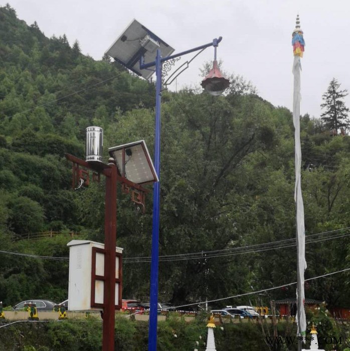 勝隆偉業TYN-0105 7m四川藏式太陽能路燈生產廠家丶藏式景觀燈太陽能燈