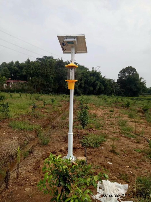 成都太陽能殺蟲燈