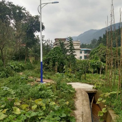 云南太陽能路燈生產廠家 批發(fā)太陽能道路燈 農村太陽能路燈