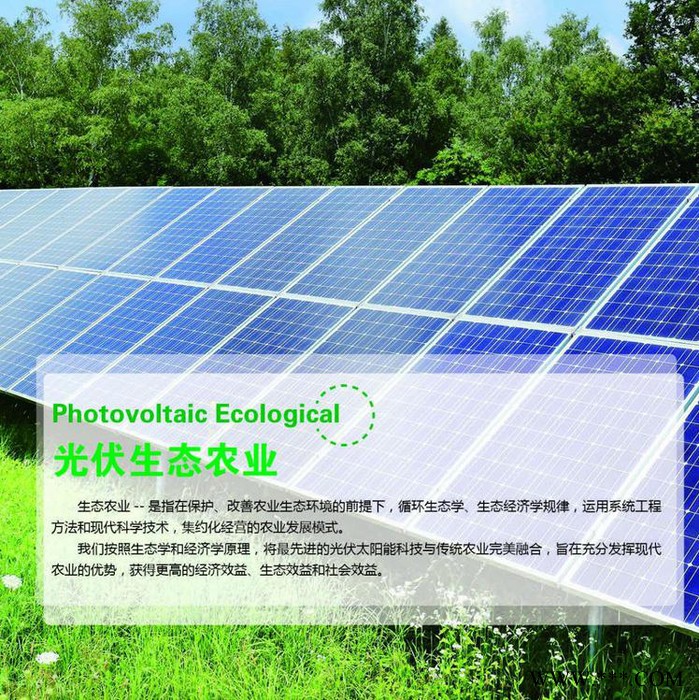 太陽能滅蚊燈xc-8501