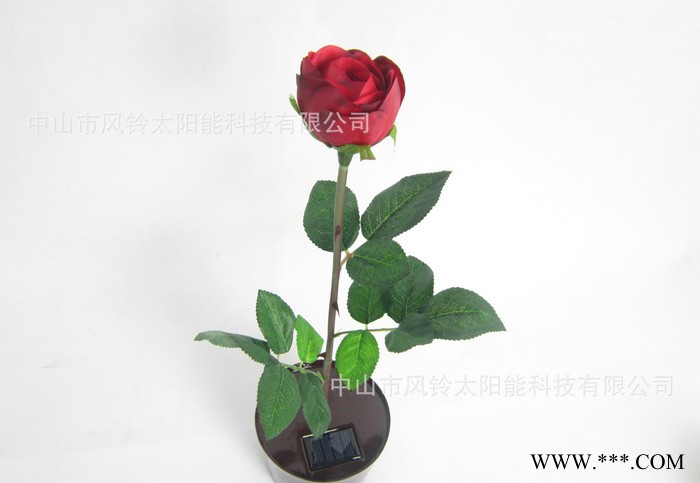 太陽能花盆燈、太陽能紅色玫瑰花燈、太陽能LED盆花、LED陽