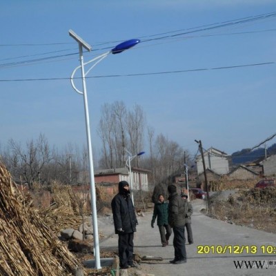 新農村建設8米太陽能路燈、太陽能庭院燈