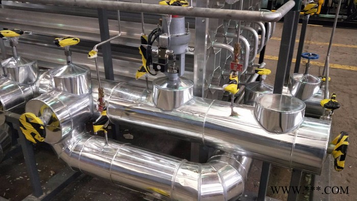 LAMOKO藍(lán)科 瓶組撬 LNG氣化設(shè)備  LNG加氣撬 LNG汽化撬  天然氣設(shè)備