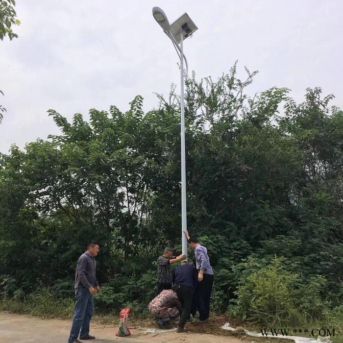 奮鈞TYN-011 太陽能路燈6米led鋰電池太陽能路燈30w瓦新農(nóng)村鄉(xiāng)村小路道路燈戶外5米7米量大從優(yōu)