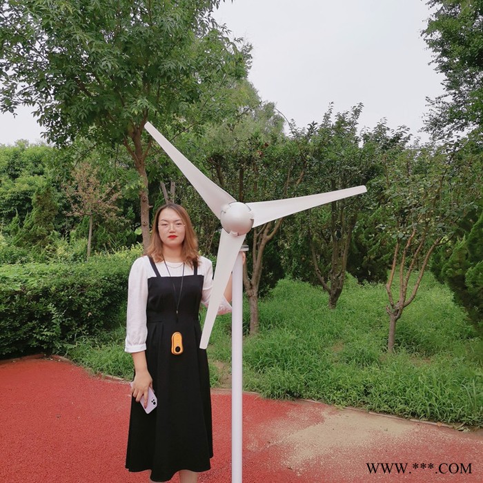 德州風力發電機照明用風力發電機組小型風力發電機家用風力發電機環保節能