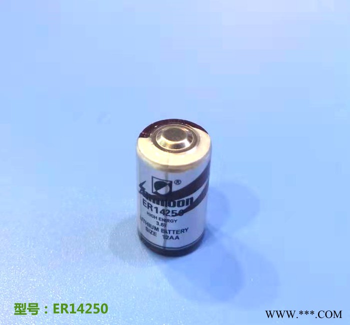 供應ER14250 ER14250M 3.6V鋰亞電池