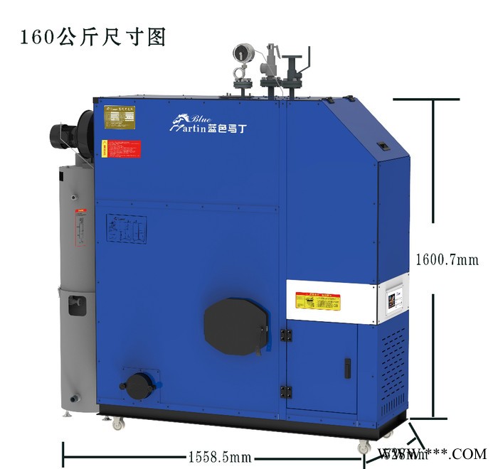 供應生物質鍋爐 丹麥藍色馬丁原裝進口