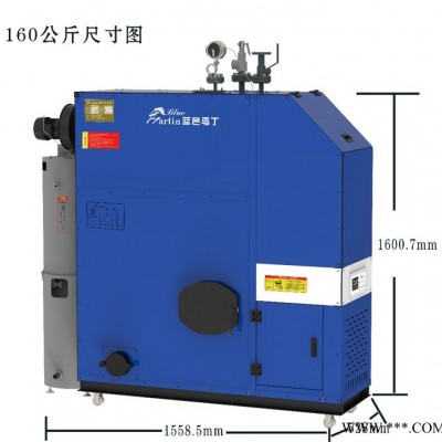 供應生物質鍋爐 丹麥藍色馬丁原裝進口