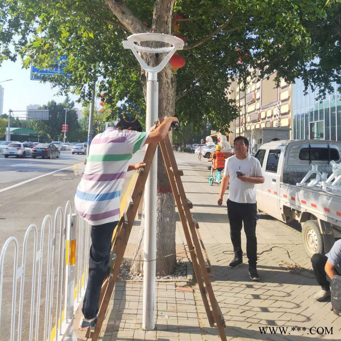 暢園cyzm鋰電池庭院燈 太陽能庭院燈 4米高庭院燈