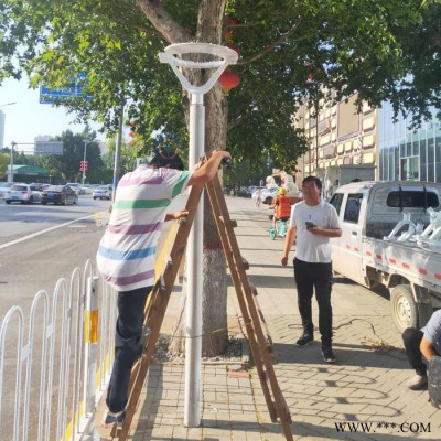 暢園cyzm鋰電池庭院燈 太陽能庭院燈 4米高庭院燈