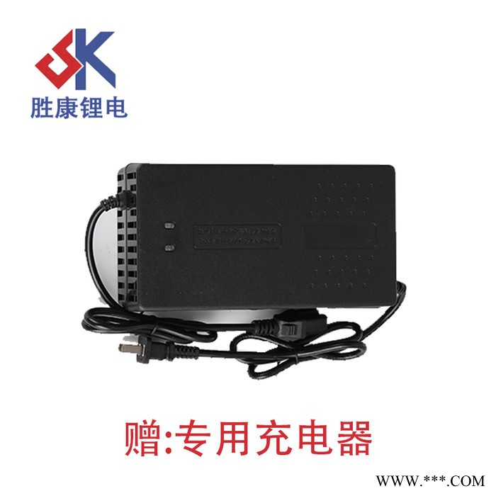 濟南勝康 48V20AH 折疊車 代駕車 外賣車 平衡車 鋰電池 超長續航 **支持定制