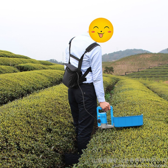 采茶機(jī) 電動(dòng)采茶機(jī) 充電鋰電池小型采茶機(jī) ** 現(xiàn)貨供應(yīng)