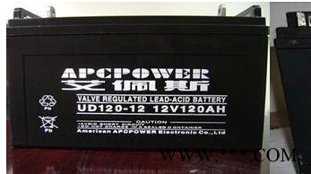 美國(guó)艾佩斯蓄電池UD120-12 艾佩斯蓄電池12V120AH 直流屏電池 UPS蓄電池 EPS蓄電池 光伏儲(chǔ)能電池