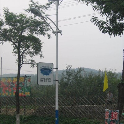 工廠(chǎng)直銷(xiāo) LED戶(hù)外新農(nóng)村一體化太陽(yáng)能路燈小金豆鋰電池6米30W路燈