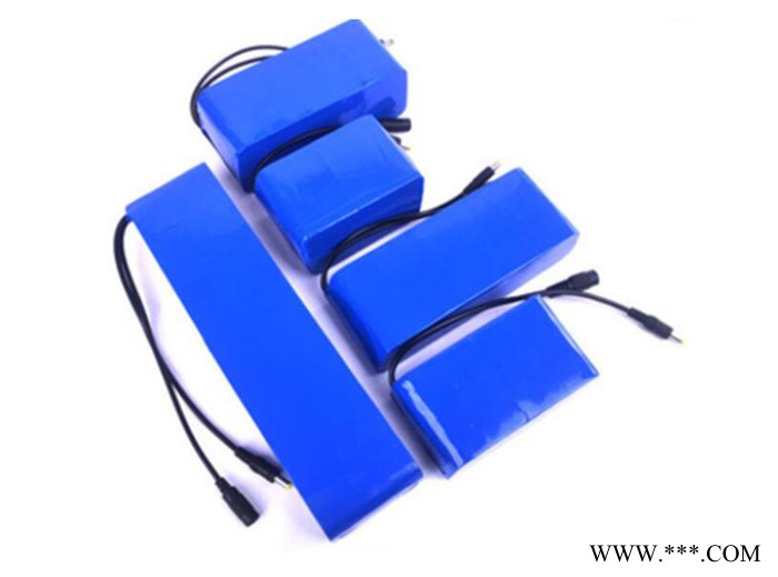 納辰naxen大容量3.7V聚合物鋰電池PACK 3.7V80Ah鋰電池組定制廠家