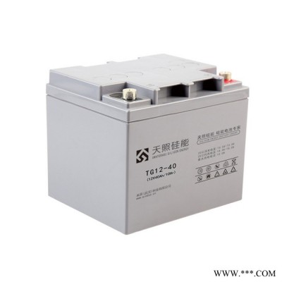 天照硅能蓄電池TG12-100醫療電信電力太陽能光伏UPS儲能直流屏專用電池 總經銷商12V100AH
