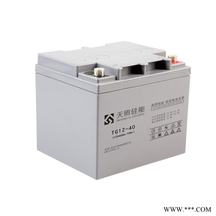 天照硅能蓄電池TG12-24醫療電信電力太陽能光伏UPS儲能直流屏專用電池 總經銷商12V24AH