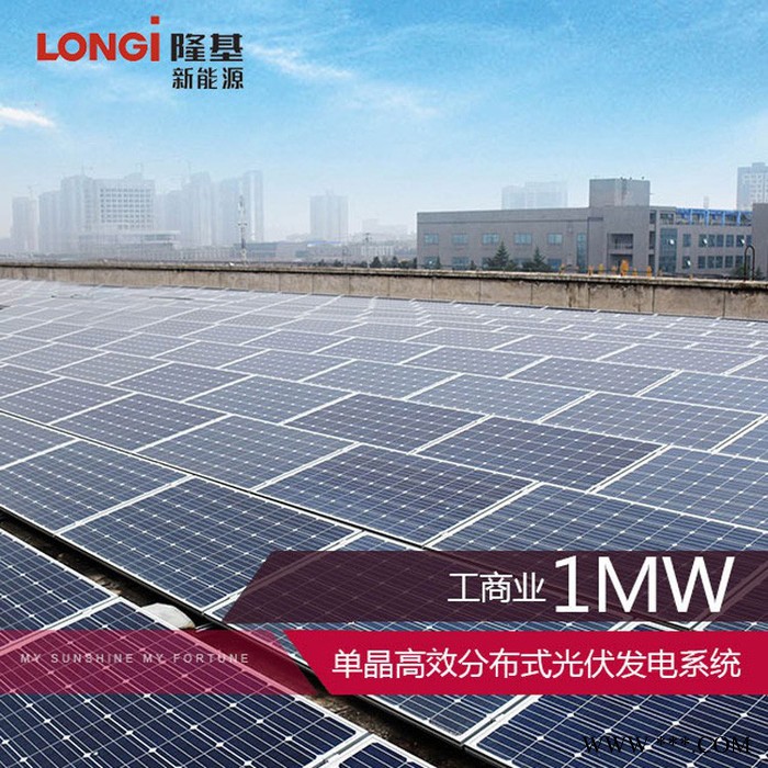 隆基 1MW工商業(yè)分布式光伏發(fā)電系統(tǒng) 光伏應(yīng)用 光伏電站 價(jià)格面議