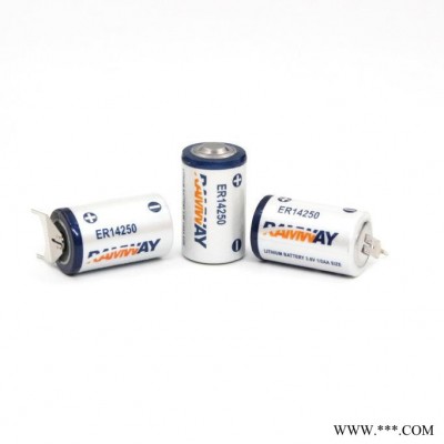 睿奕 ER14250 測溫裝置電池 電表電池 探測器電池 智能鎖電池 ETC 3.6V 鋰電池