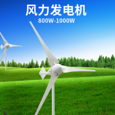 廠家1000W48V24V風力發電機戶外家用小型風能永磁三相交流發電機