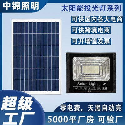 惠民新款太陽能燈戶外照明庭院燈太陽能投光燈新農村路燈廠家直銷
