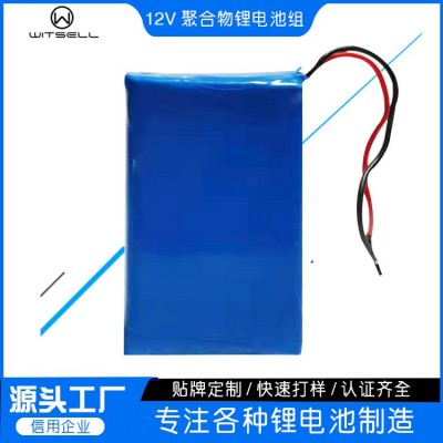 工廠批發12V聚合物鋰電池各種容量燈帶音響監控氣燈空氣凈化器