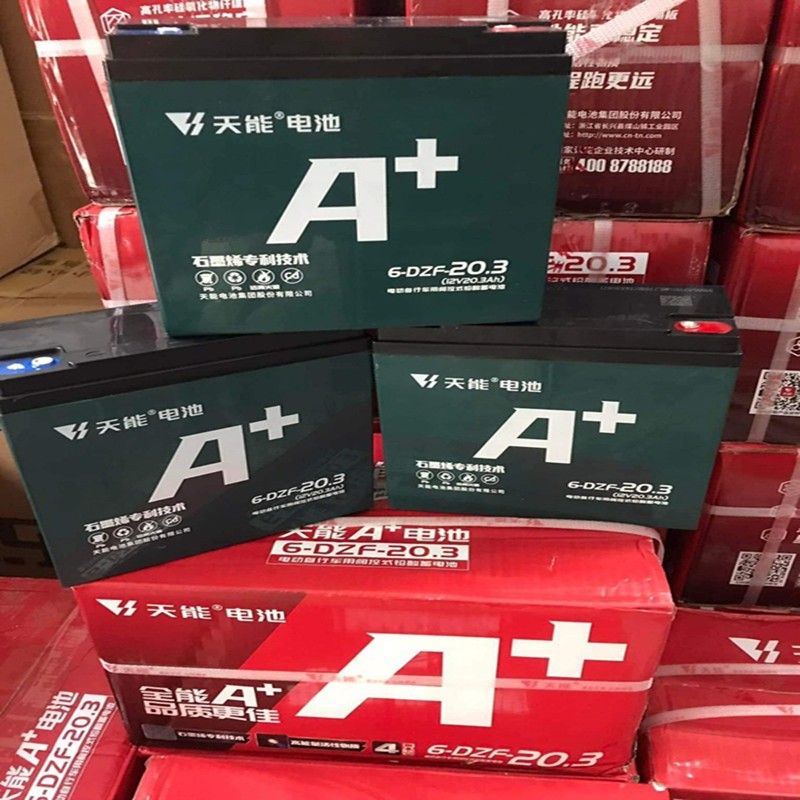 天能60V20.3AH 動力蓄電池 20.3AH的電瓶 48V60V72V20A電動車電池