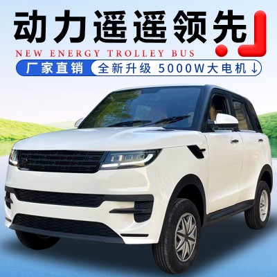 電動四輪汽車家用老頭樂代步成人女士新能源油電兩用新款電甁轎車