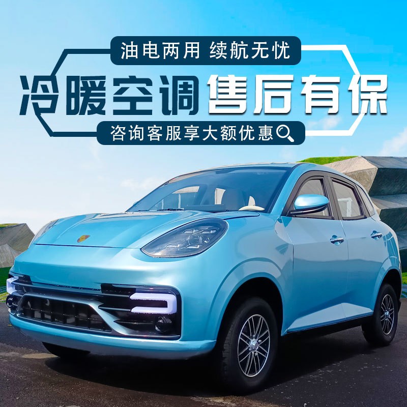 新能源四輪電動車家用老頭樂女士小型新款低速代步汽轎車油電兩用