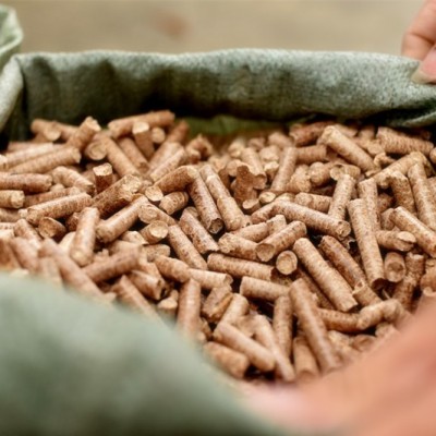 潮州生物能源生物質(zhì)顆粒燃料 環(huán)保顆粒 木屑顆粒