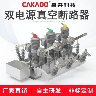 廠家直銷10KV高壓雙電源自動切換真空斷路器