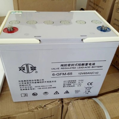 雙登蓄電池6-GFM-100免維護鉛酸蓄電池12V100AHUPS/EPS直流屏電池