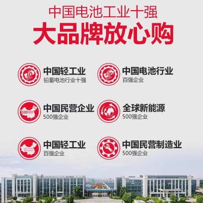 天能電池6V8V12V電動三輪車電池6EVF120觀光車巡邏車升降機蓄電池