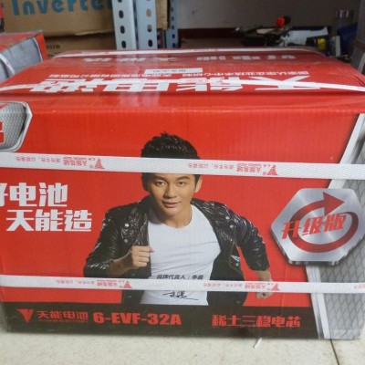 浙江天能60V20AH電動車電池6-DZM-20AH6-DZF-20A原廠12V20AH5只裝