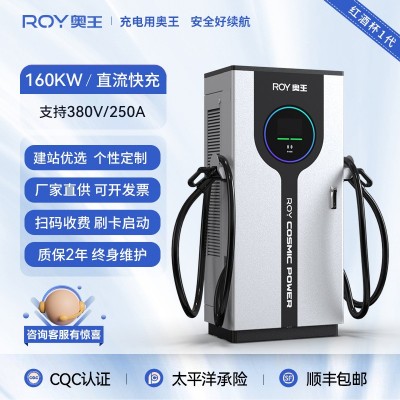 ROY奧王新能源電動汽車直流充電樁國標(biāo)快充落地式商用建造充電站